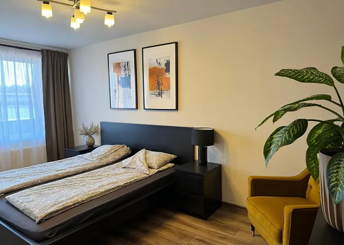 City Chic Rental